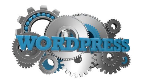 WordPress Plugins installieren